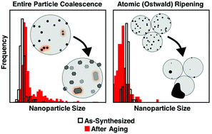 105. Size-Controlled Nanocrystals Reveal Spatial Dependence and Severity of Nanoparticle Coalescence and Ostwald Ripening in Sintering Phenomena