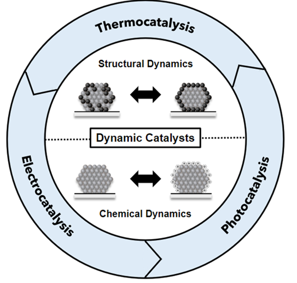 125. Studying, promoting, exploiting, and predicting catalyst dynamics: the next frontier in heterogeneous catalysis
