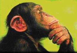 CHIMPS, Coupler for High-performance Integrated Multi-Physics Simulations