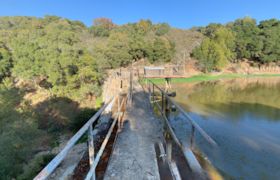 Jasper Ridge Biological Preserve