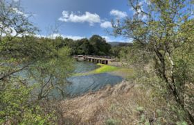 Jasper Ridge Biological Preserve