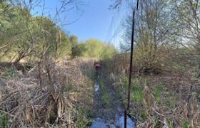 Jasper Ridge Biological Preserve