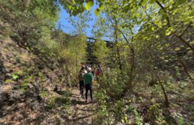 Jasper Ridge Biological Preserve