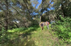 Jasper Ridge Biological Preserve