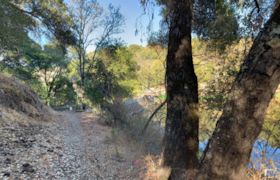 Jasper Ridge Biological Preserve