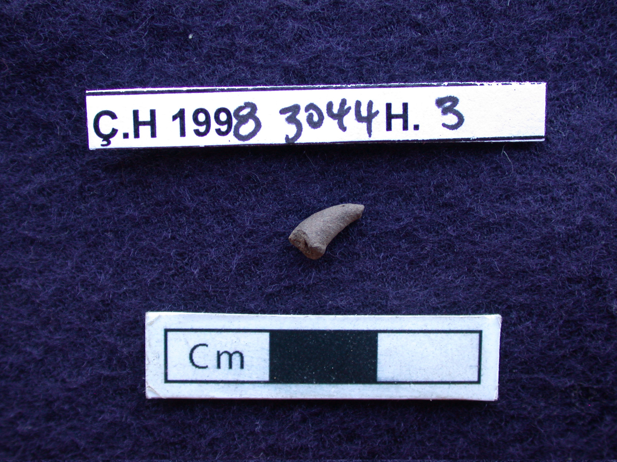 fz_1998_3044_H3.jpg Â· Stanford Figurines Project