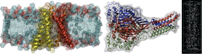 Bio-Molecular Modeling and Microfluidics