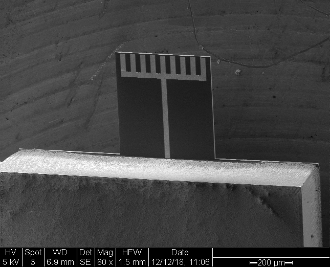 20181212_s2_bottom-side_25deg