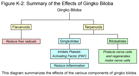 Fig K-2: Summary of the Effects of Gingko Biloba