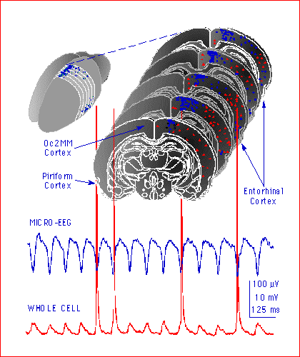 theta