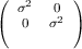 (  σ2  0 )
(  0   σ2 )