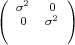 (  σ2  0 )
(  0   σ2 )