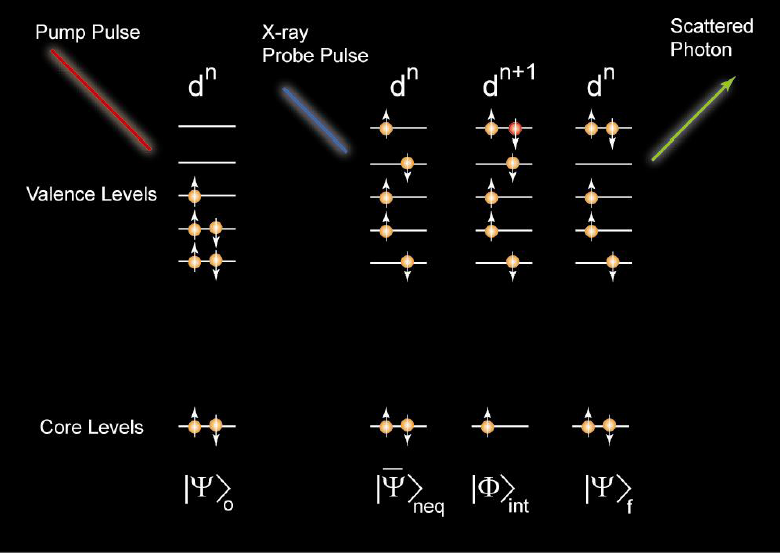 tr-SXR schematic