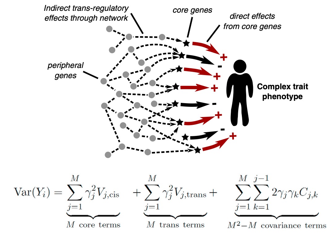 New insights into genetic variant spectrum and genotype–phenotype