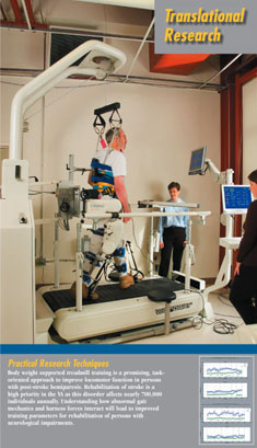 Translational research photo