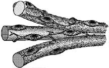 to receive  figure click here