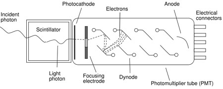 physical processes in inorganic scintillators