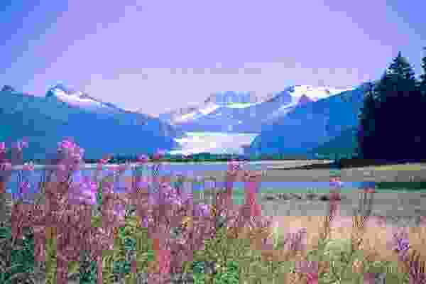 Mendenhall Glacier