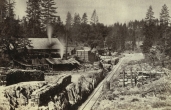 Saw Mill thumbnail image