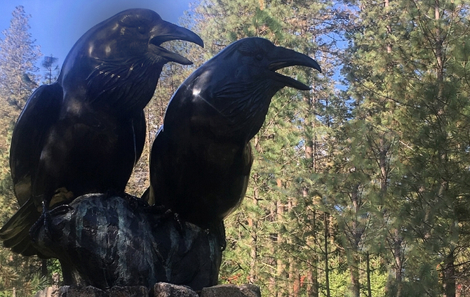 Tony Angell Emissaries