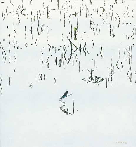 Chris Bacon Blue Damselfly