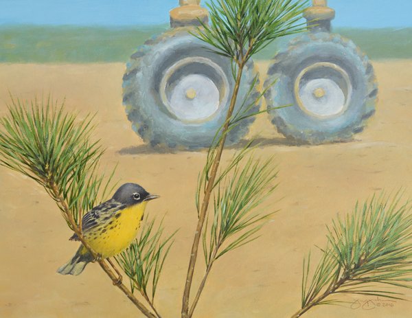 Jay Jocham Kirkland's Warbler