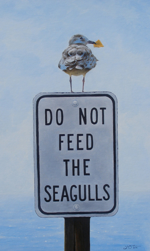 Jay Jocham Ring-billed Seagull