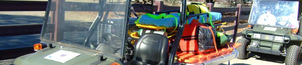 Gators at Equestrian