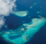 WORKING TOWARD A SUSTAINABLE FUTURE