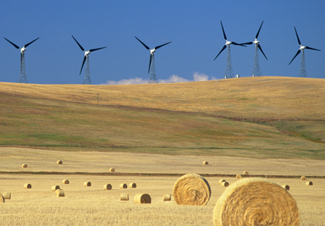 Wind Farm Image