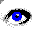 Eye.gif (4601 bytes)