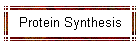 Protein Synthesis