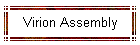 Virion Assembly