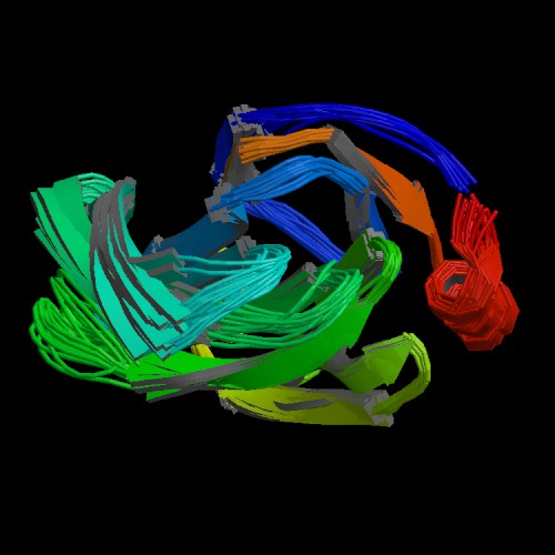 Rhesus Rotavirus VP4