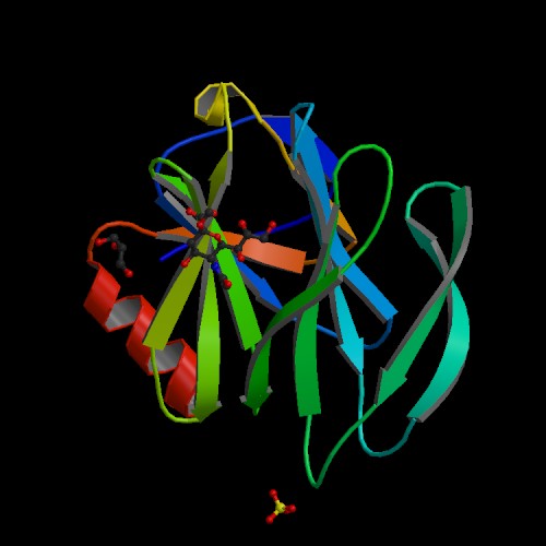 Rhesus Rotavirus VP4 bound to 2-O-methyl-alpha-sialic acid