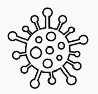 Human virus persistence in surface waters