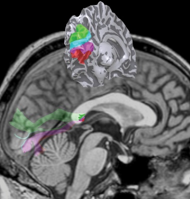 Summary figure from PNAS paper