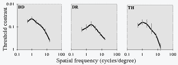 contrast sensitivity functions