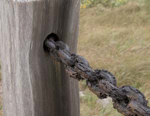 post-chain-L1010371-crp