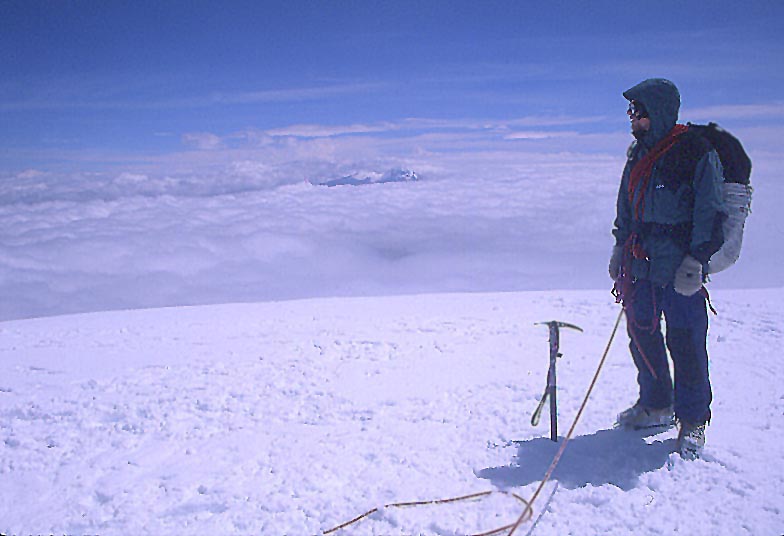 South America photos-Cagan Sekercioglu