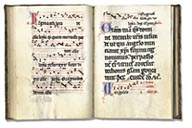 Dominican processionary