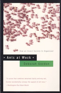 Ants at Work: How an Insect Society is Organized