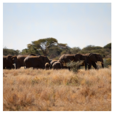 elephants watermarked