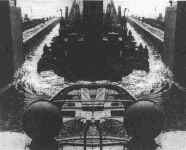 rod-white-can-30.jpg (58764 bytes)