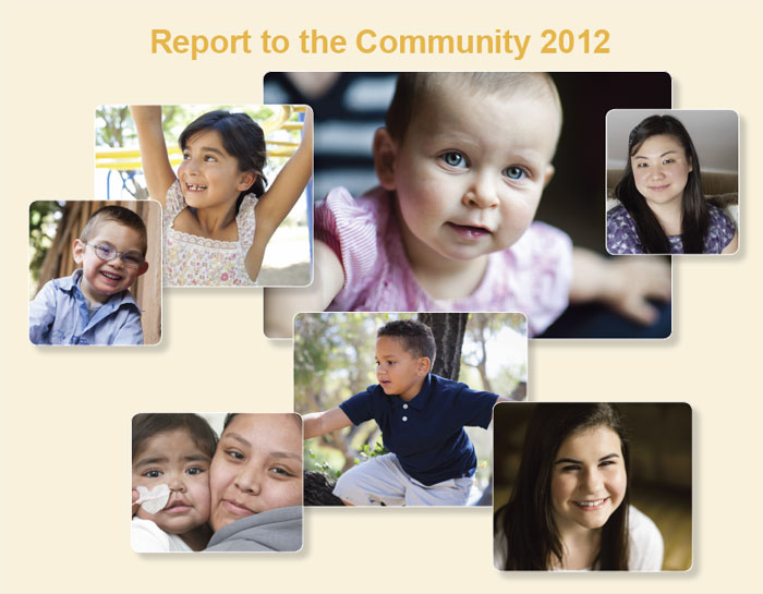 Report to the Community 2012