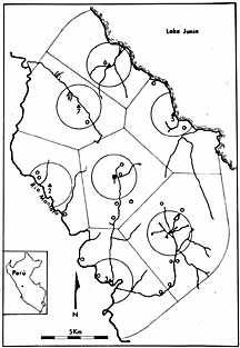 Pachamachay Settlement, Junin