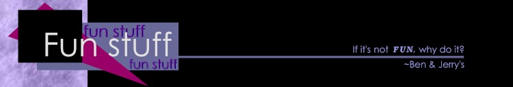 The Fun Stuff banner