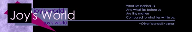 Joy's World banner