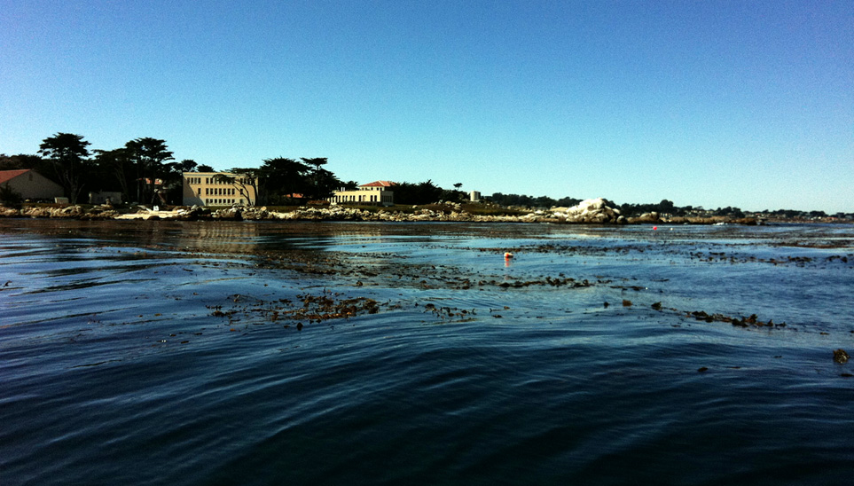 Reconstructing dyanamic surfaces for bathymetry inference