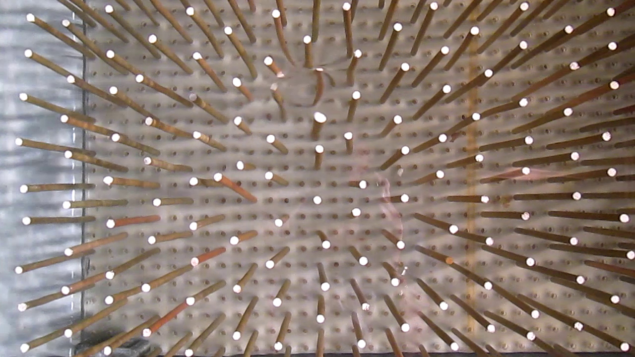 Impacts of gaps on canopy flow dynamics